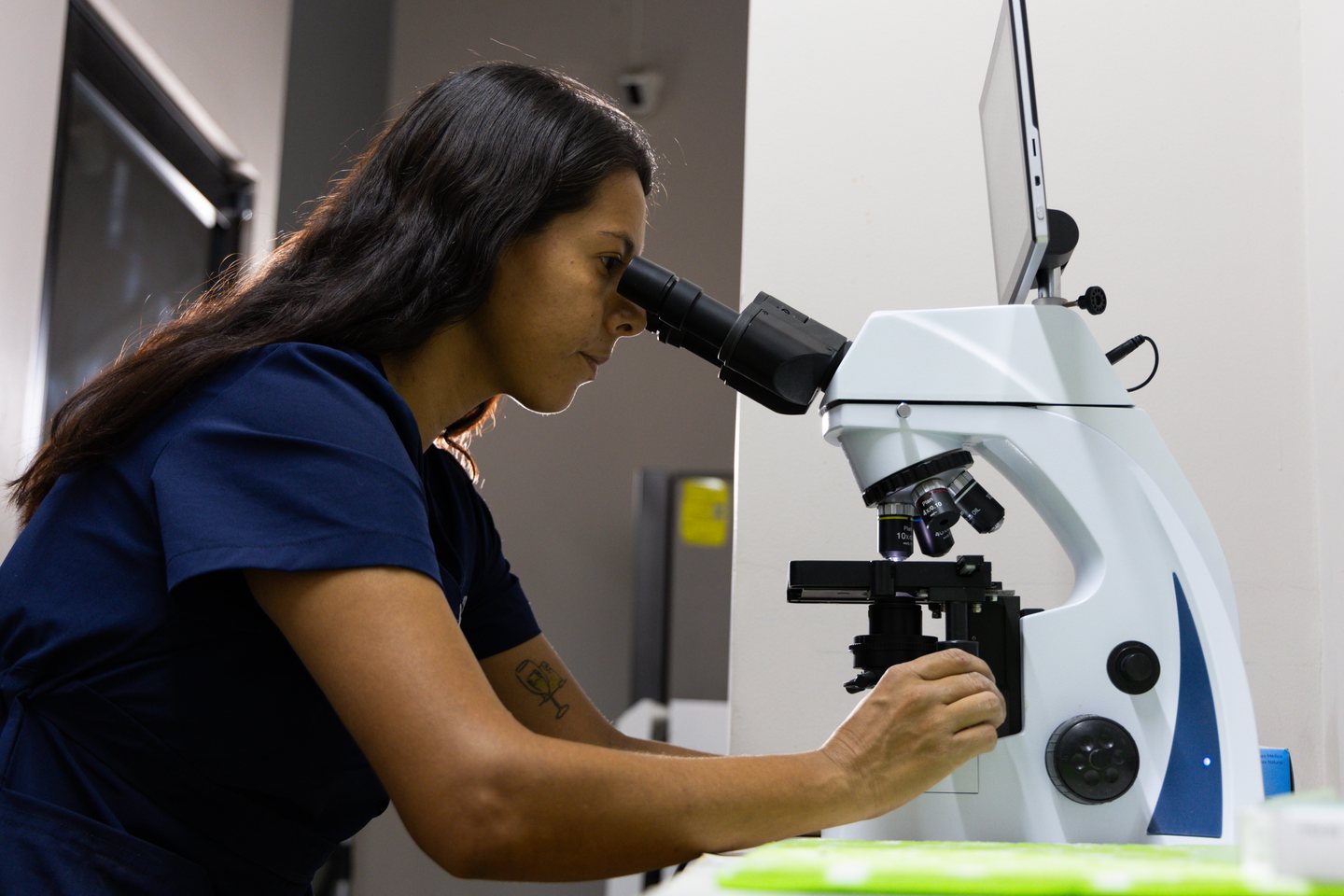 Wet Noses team member using a microscope