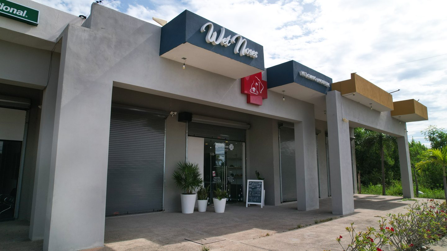 Wet Noses Clinic and Hospital exterior