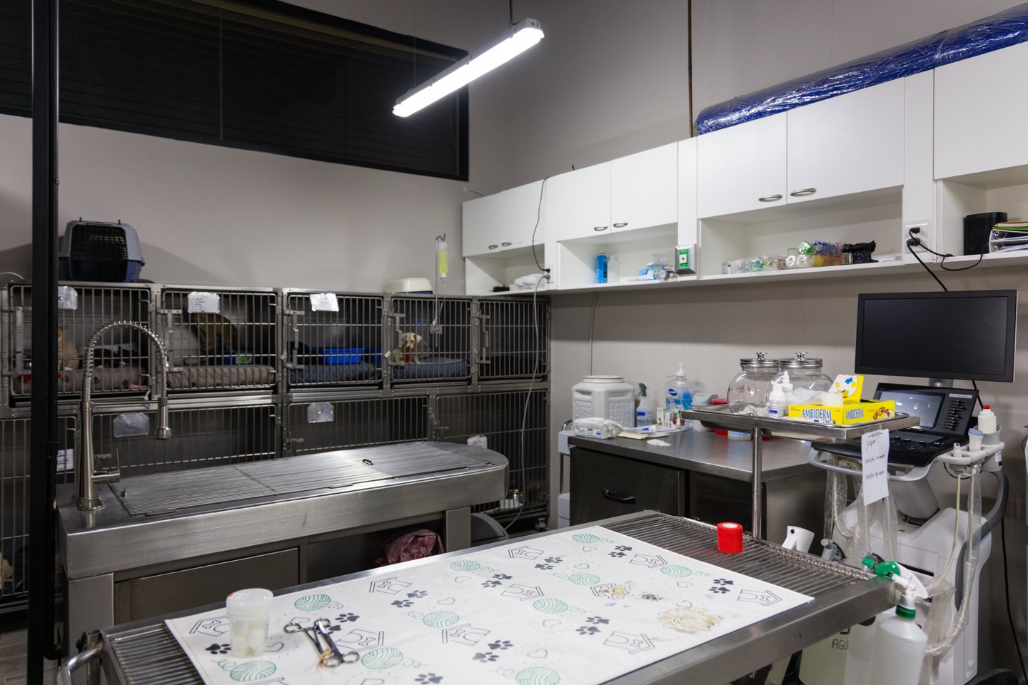 Wet Noses treatment room and patient kennels